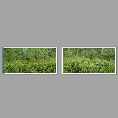 LED-Wandbild Zweiteiler quer mit Abstand – Wald
