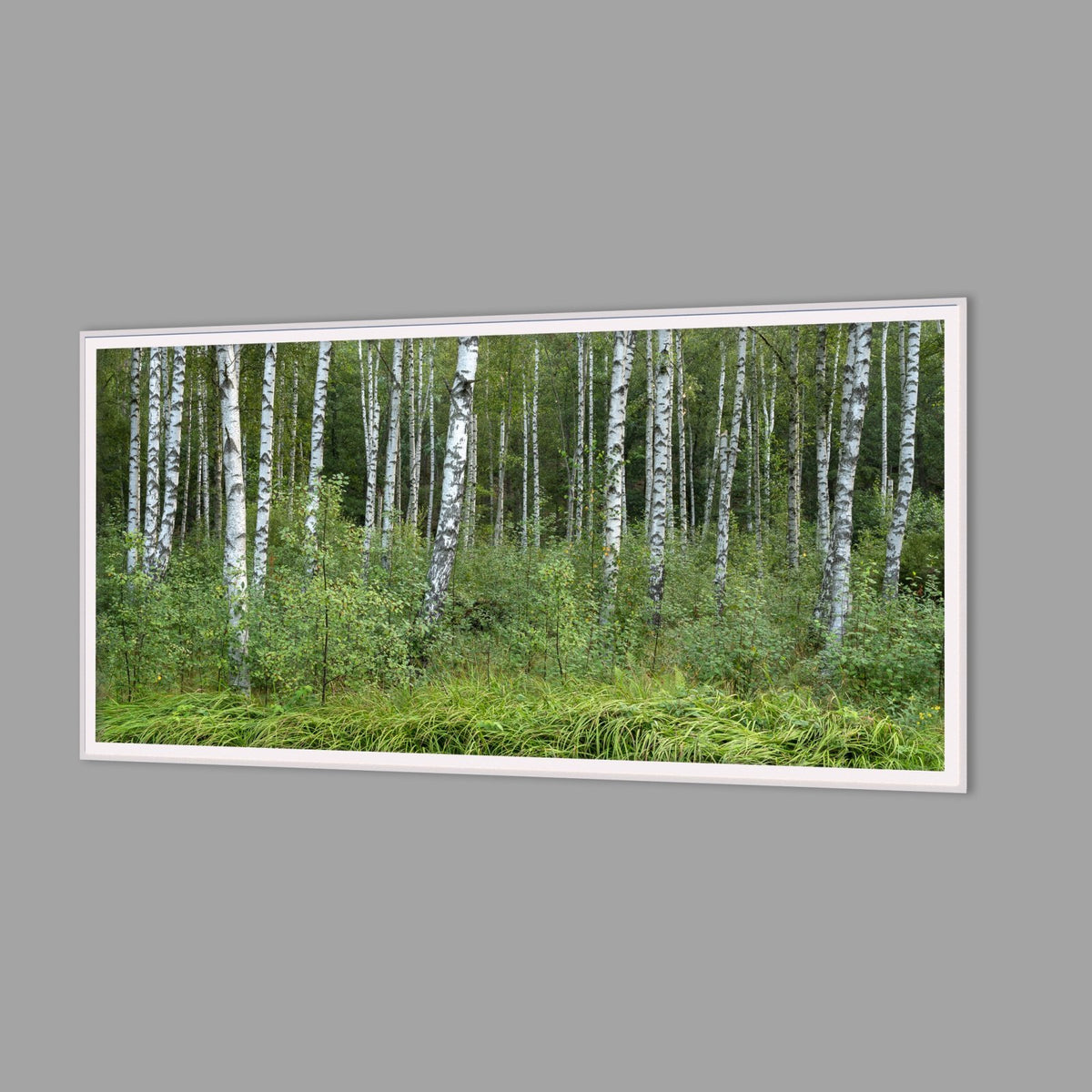 LED-Wandbild 60x120 cm quer – Wald