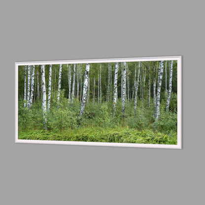 LED-Wandbild 60x120 cm quer – Wald