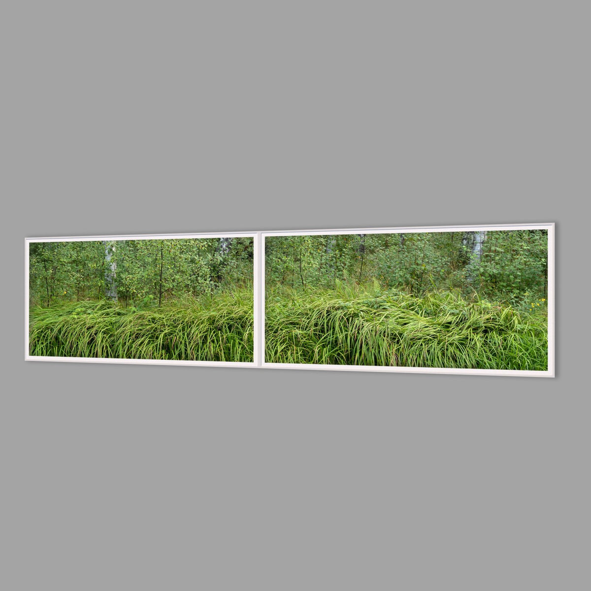 LED-Wandbild Zweiteiler quer 240x60 cm – Wald