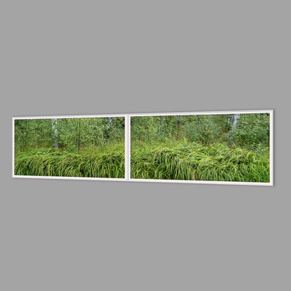 LED-Wandbild Zweiteiler quer 240x60 cm – Wald