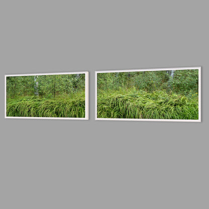 LED-Wandbild Zweiteiler quer mit Abstand – Wald