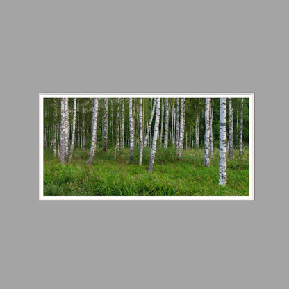 LED-Wandbild 60x120 cm quer – Wald