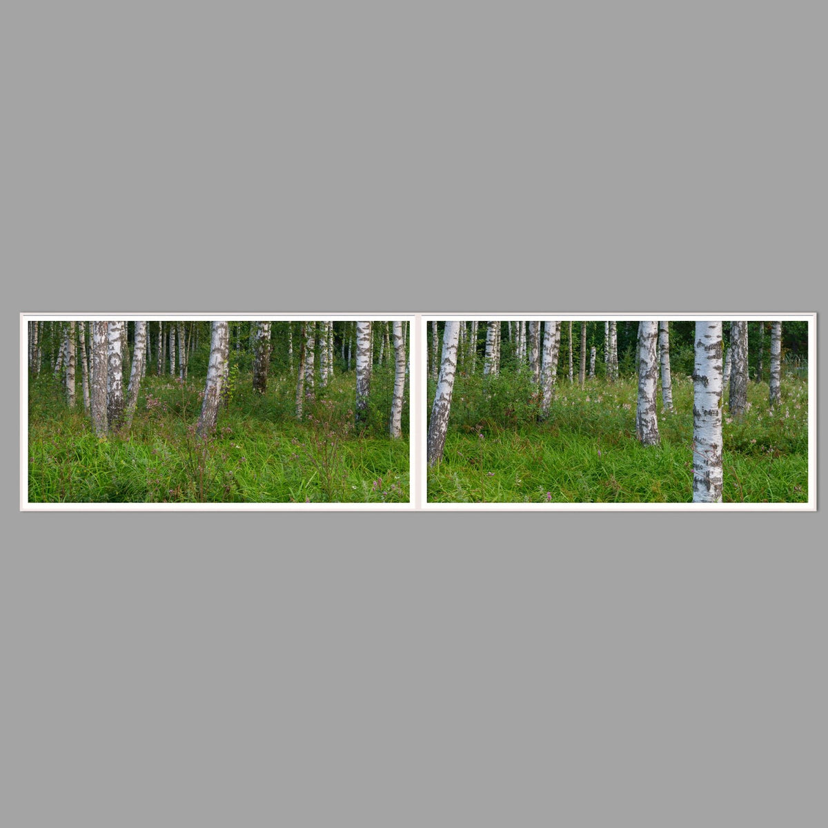 LED-Wandbild Zweiteiler quer 240x60 cm – Wald