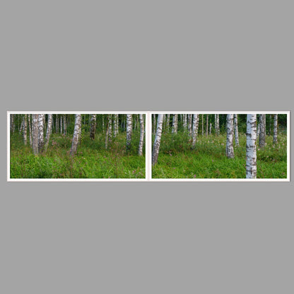 LED-Wandbild Zweiteiler quer 240x60 cm – Wald
