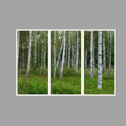 LED-Wandbild Dreiteiler hochkant 180x120 cm – Wald