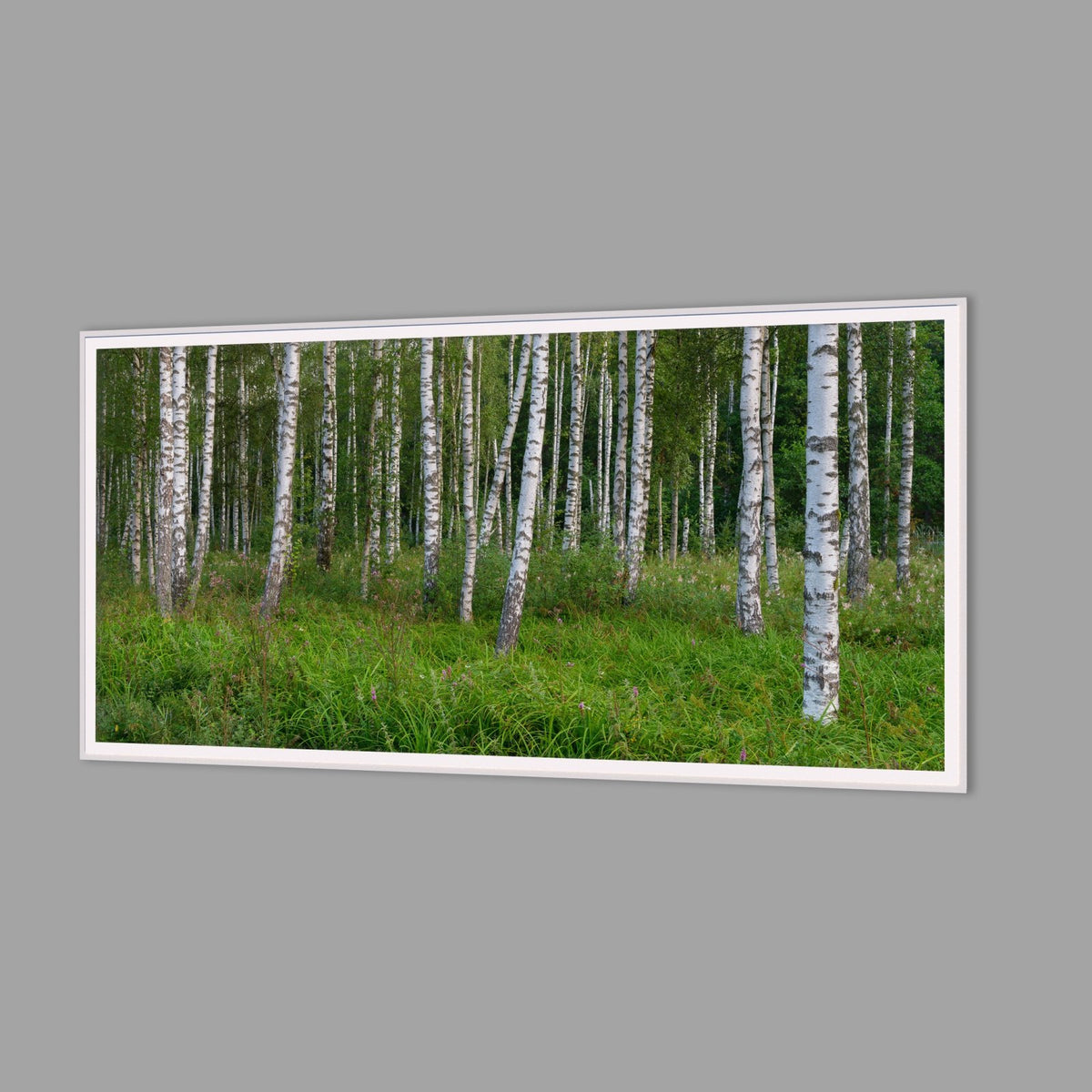 LED-Wandbild 60x120 cm quer – Wald