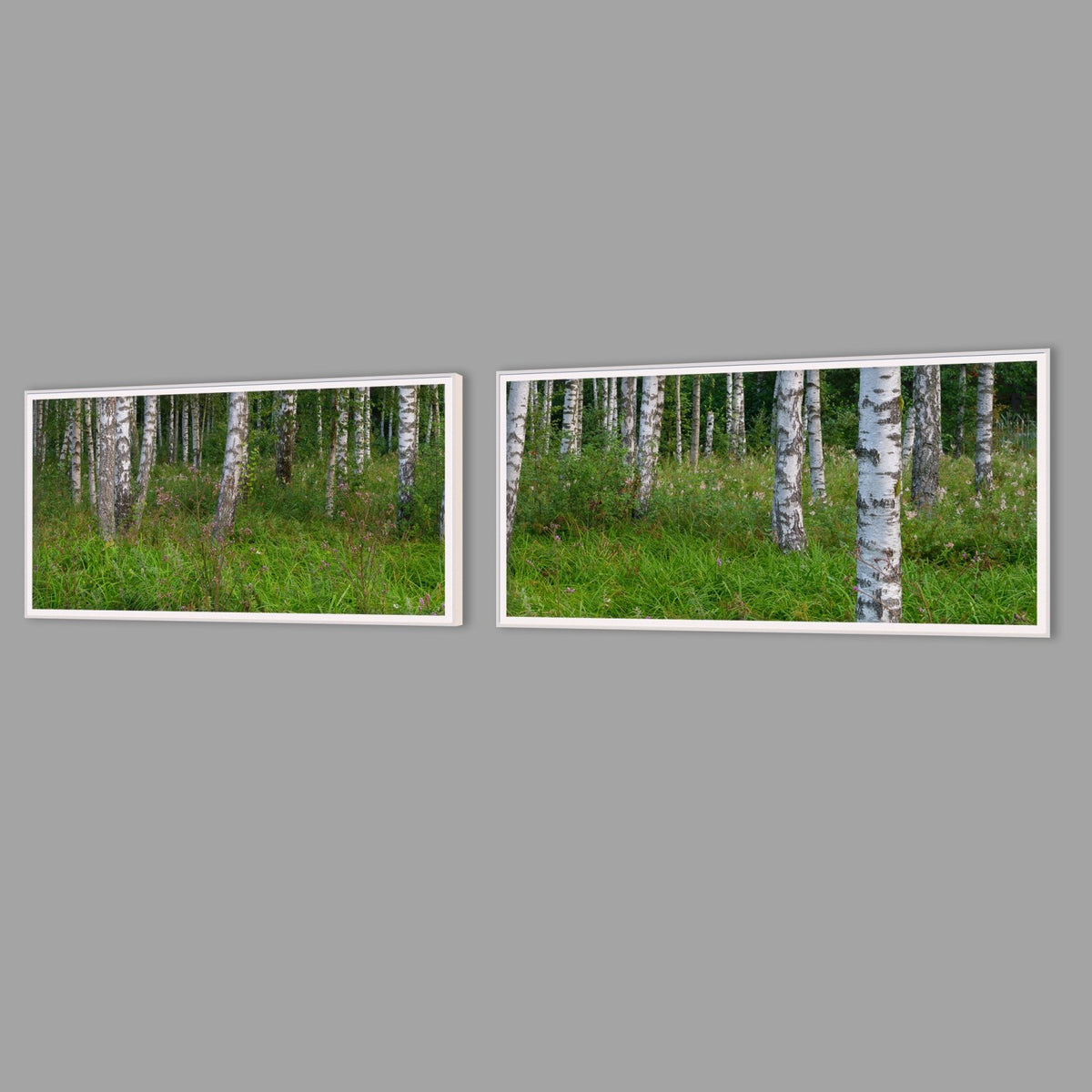 LED-Wandbild Zweiteiler quer mit Abstand – Wald