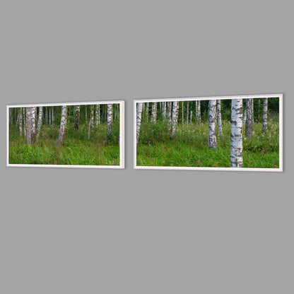 LED-Wandbild Zweiteiler quer mit Abstand – Wald