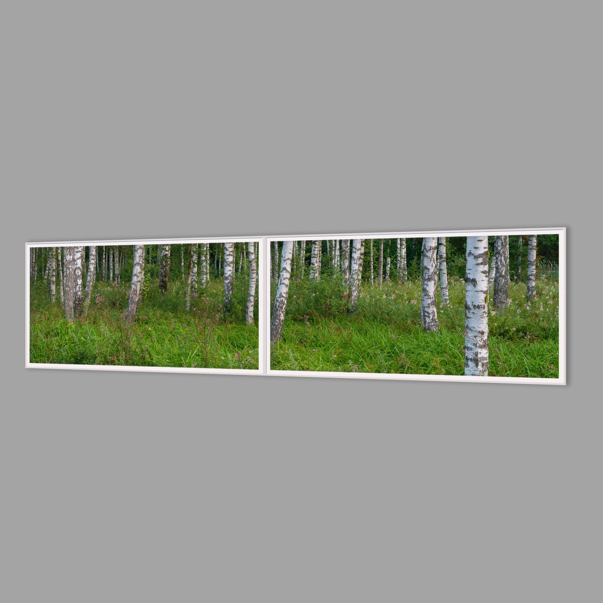 LED-Wandbild Zweiteiler quer 240x60 cm – Wald