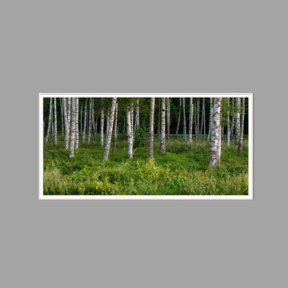 LED-Wandbild 60x120 cm quer – Wald