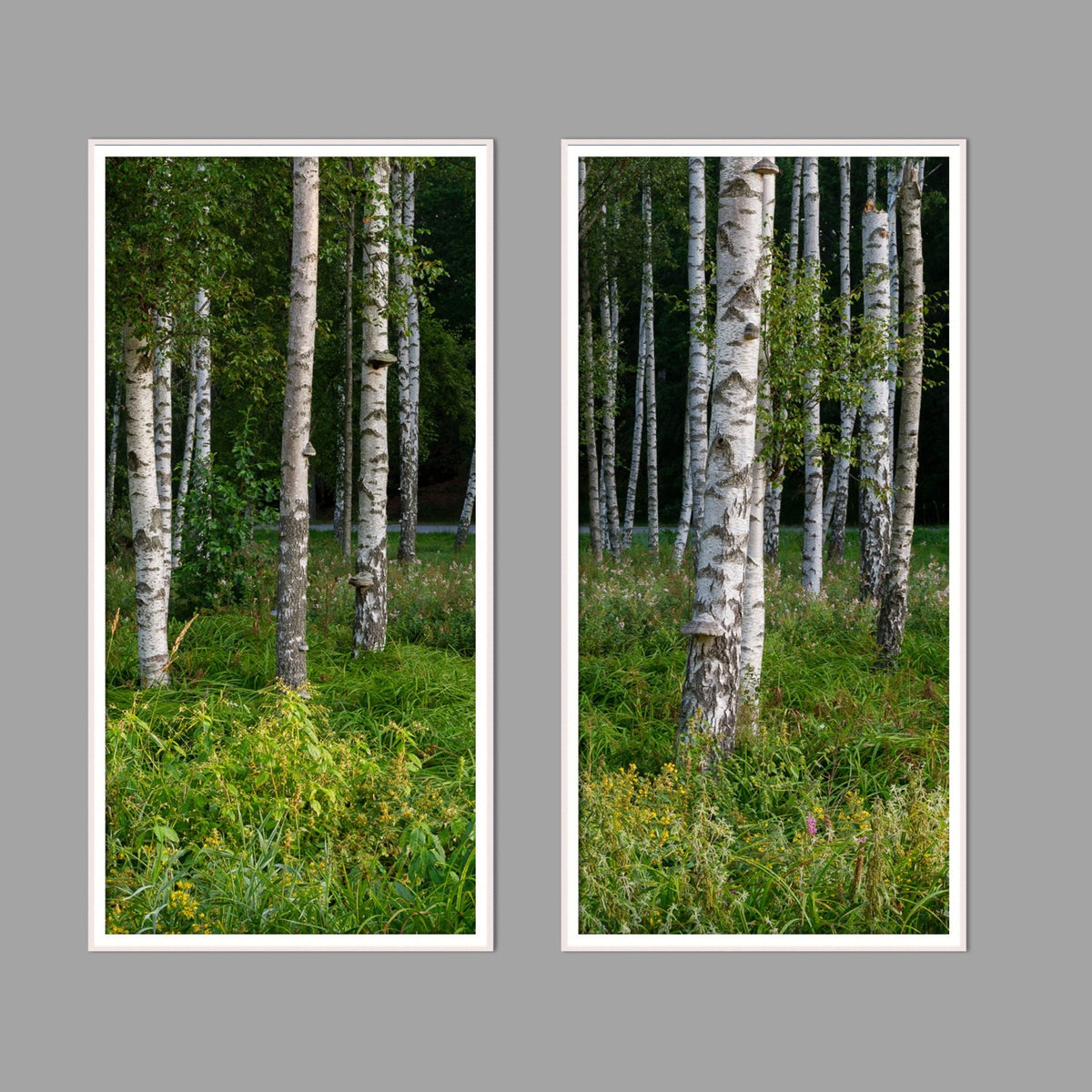 LED-Wandbild Zweiteiler hochkant mit Abstand – Wald