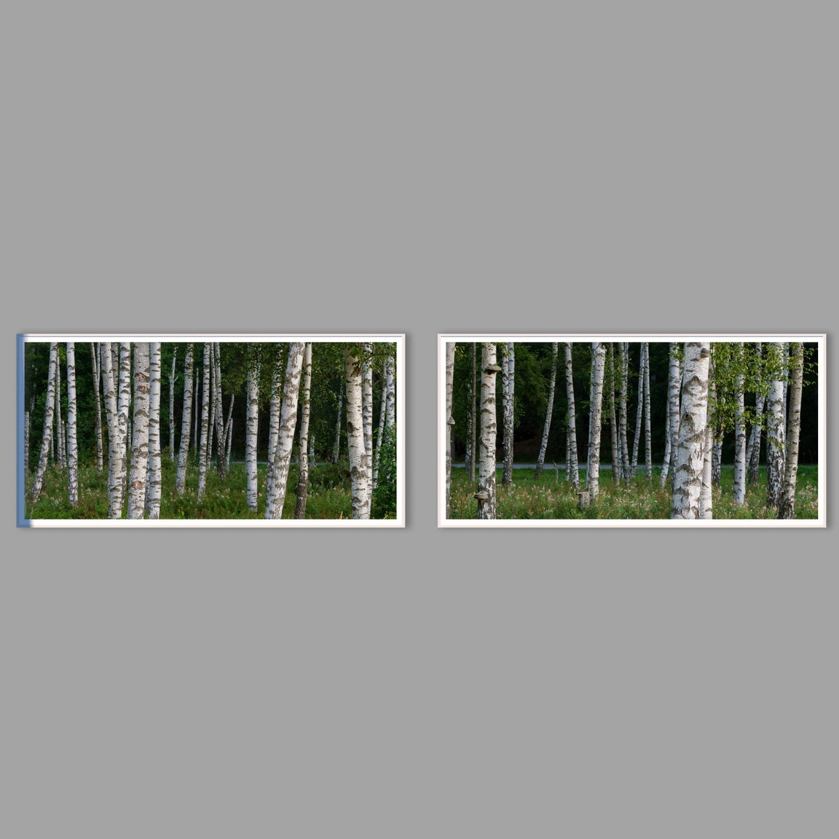 LED-Wandbild Zweiteiler quer mit Abstand – Wald