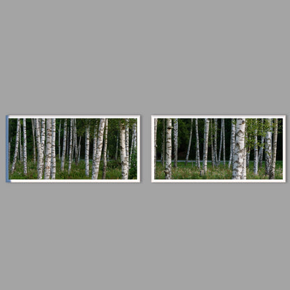 LED-Wandbild Zweiteiler quer mit Abstand – Wald