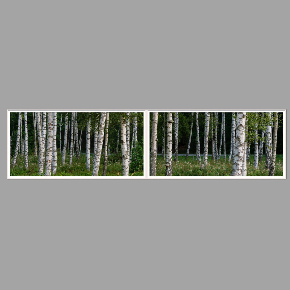 LED-Wandbild Zweiteiler quer 240x60 cm – Wald