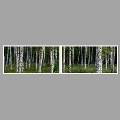 LED-Wandbild Zweiteiler quer 240x60 cm – Wald