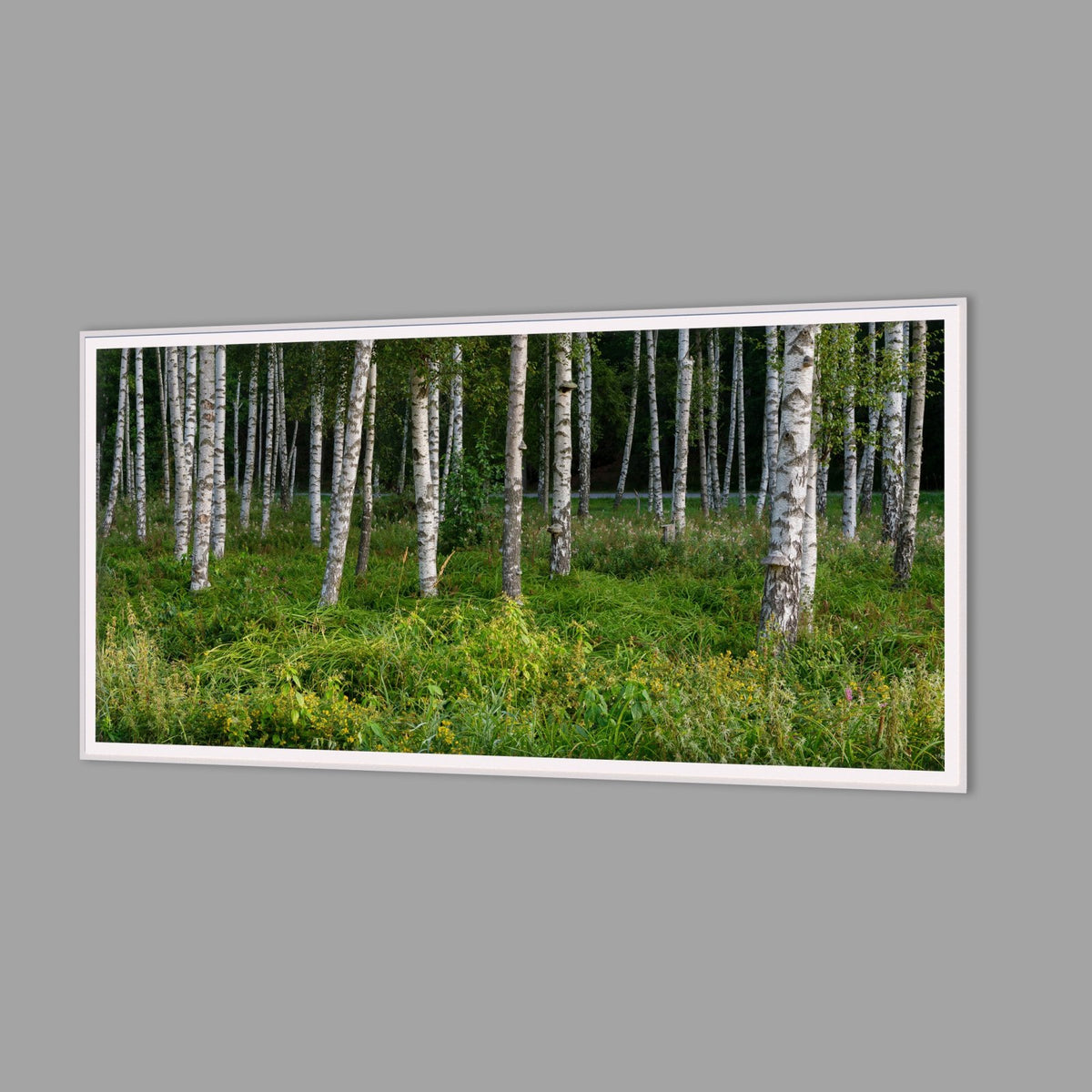 LED-Wandbild 60x120 cm quer – Wald