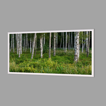 LED-Wandbild 60x120 cm quer – Wald