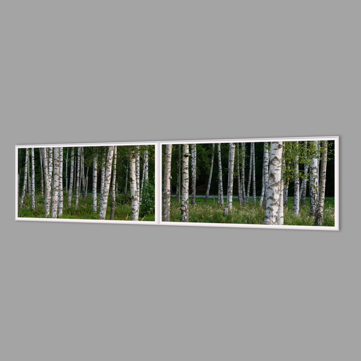 LED-Wandbild Zweiteiler quer 240x60 cm – Wald