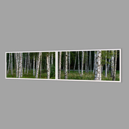 LED-Wandbild Zweiteiler quer 240x60 cm – Wald