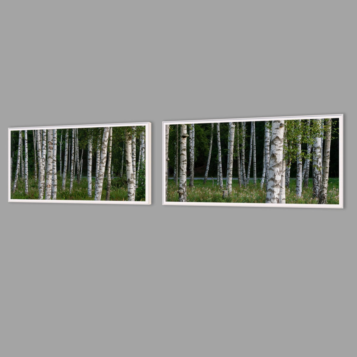 LED-Wandbild Zweiteiler quer mit Abstand – Wald