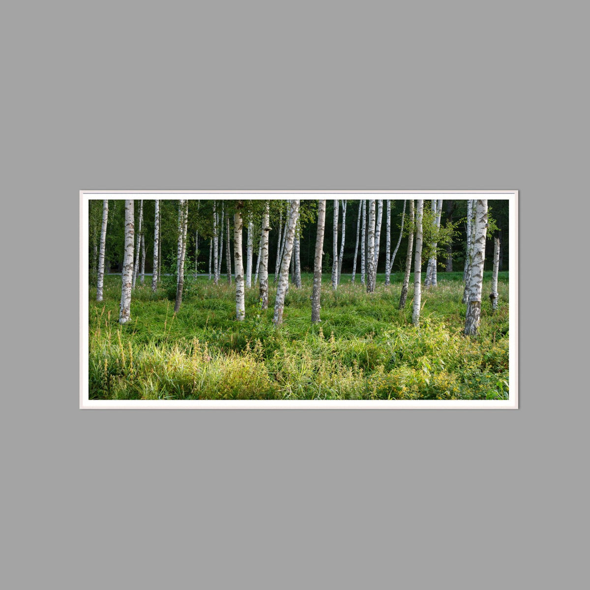 LED-Wandbild 60x120 cm quer – Wald