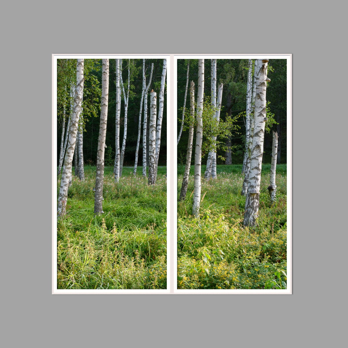 LED-Wandbild Zweiteiler hochkant 120x120 cm – Wald