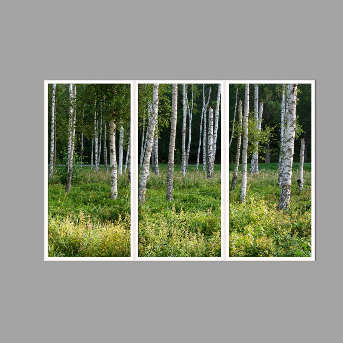 LED-Wandbild Dreiteiler hochkant 180x120 cm – Wald