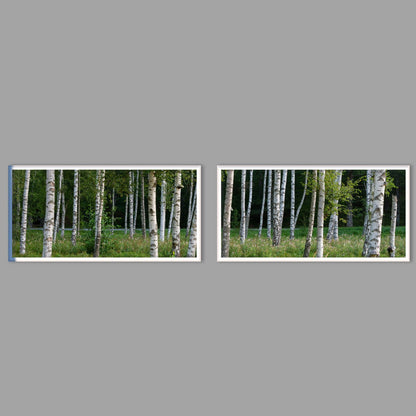 LED-Wandbild Zweiteiler quer mit Abstand – Wald