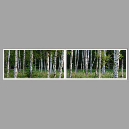 LED-Wandbild Zweiteiler quer 240x60 cm – Wald