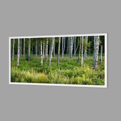 LED-Wandbild 60x120 cm quer – Wald