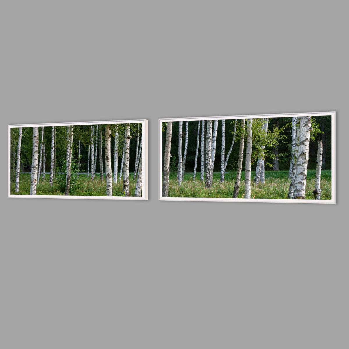 LED-Wandbild Zweiteiler quer mit Abstand – Wald