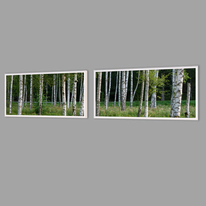 LED-Wandbild Zweiteiler quer mit Abstand – Wald