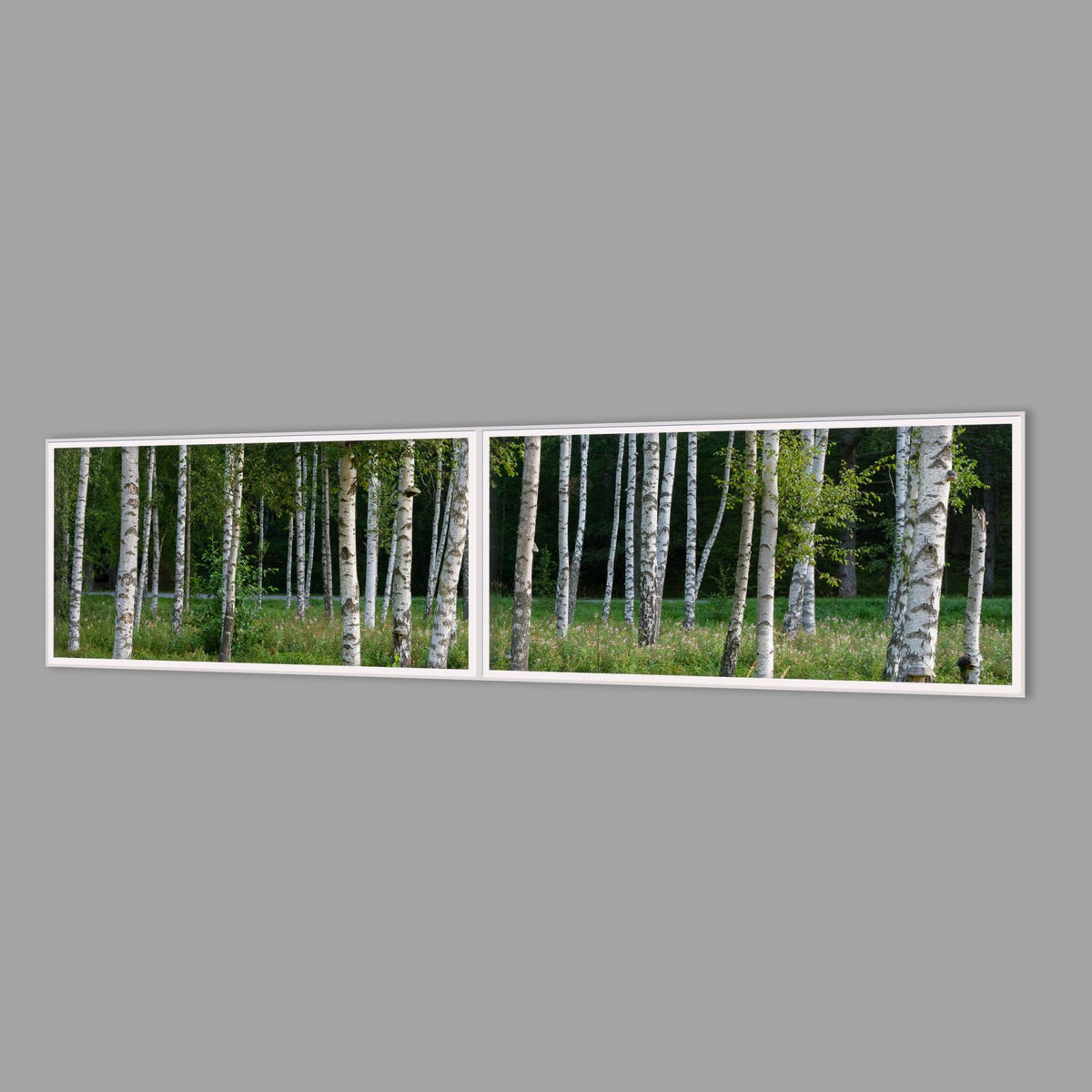 LED-Wandbild Zweiteiler quer 240x60 cm – Wald