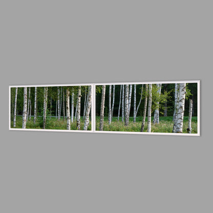 LED-Wandbild Zweiteiler quer 240x60 cm – Wald