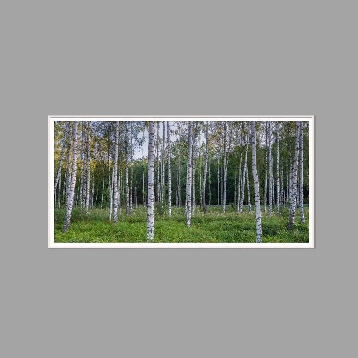 LED-Wandbild 60x120 cm quer – Wald