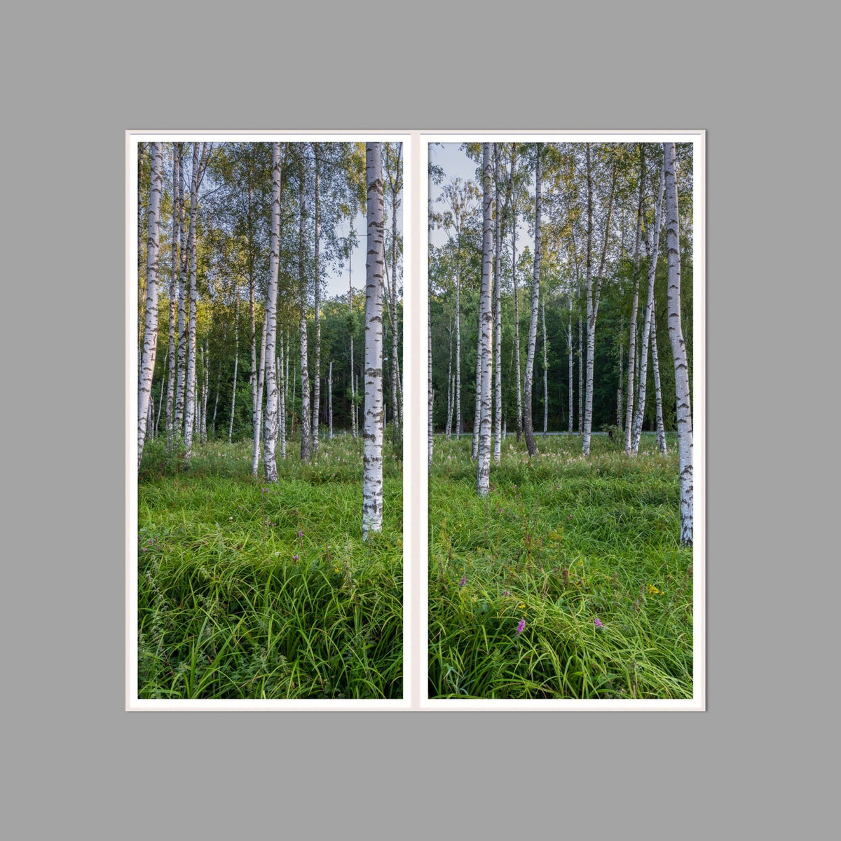 LED-Wandbild Zweiteiler hochkant 120x120 cm – Wald
