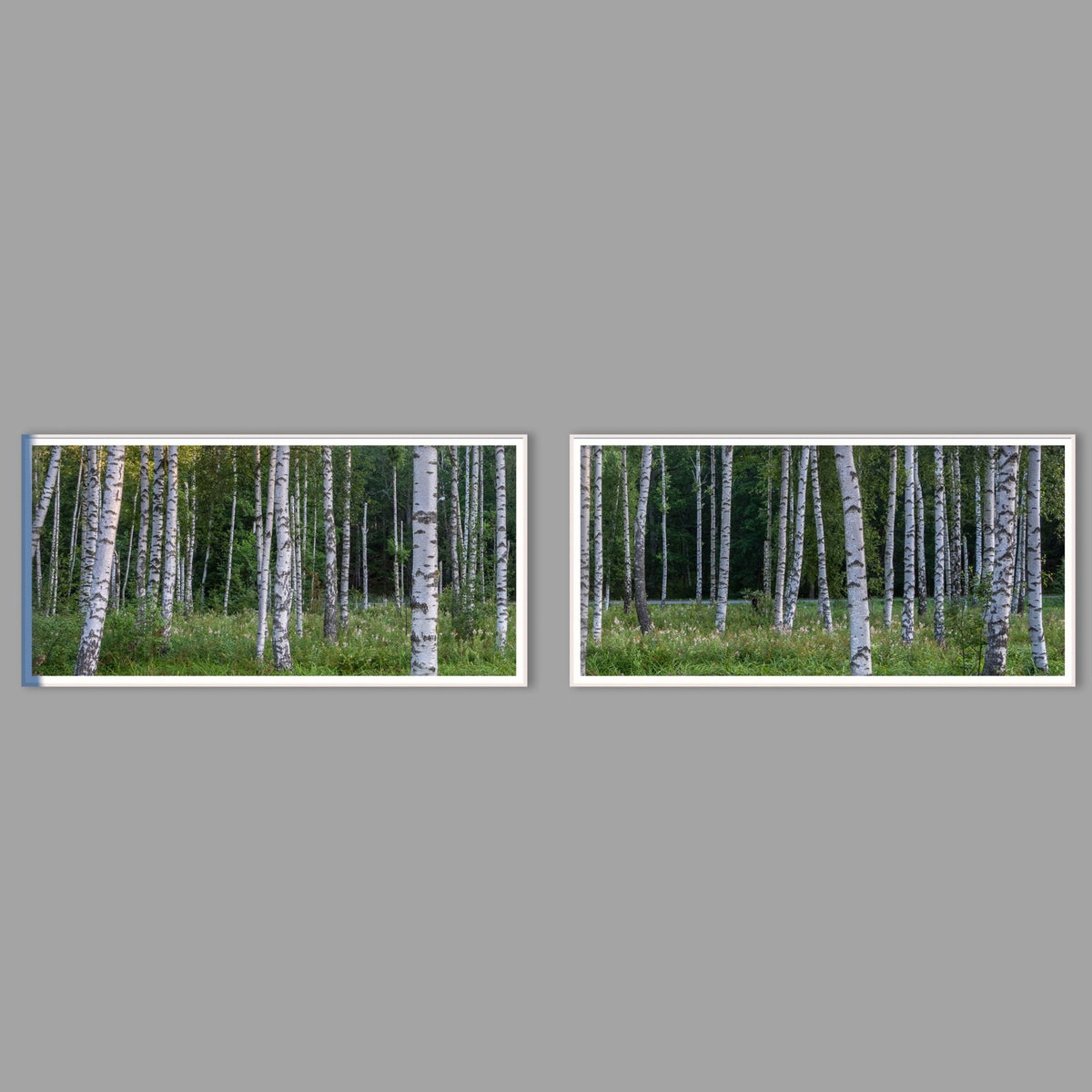 LED-Wandbild Zweiteiler quer mit Abstand – Wald