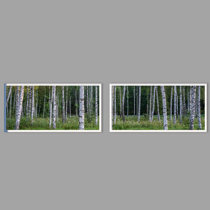LED-Wandbild Zweiteiler quer mit Abstand – Wald