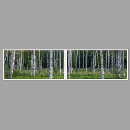 LED-Wandbild Zweiteiler quer 240x60 cm – Wald