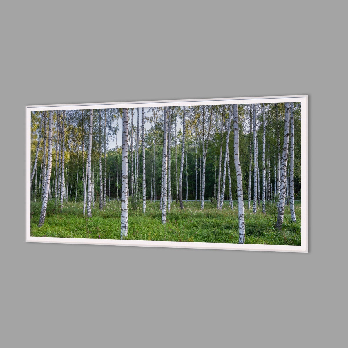 LED-Wandbild 60x120 cm quer – Wald
