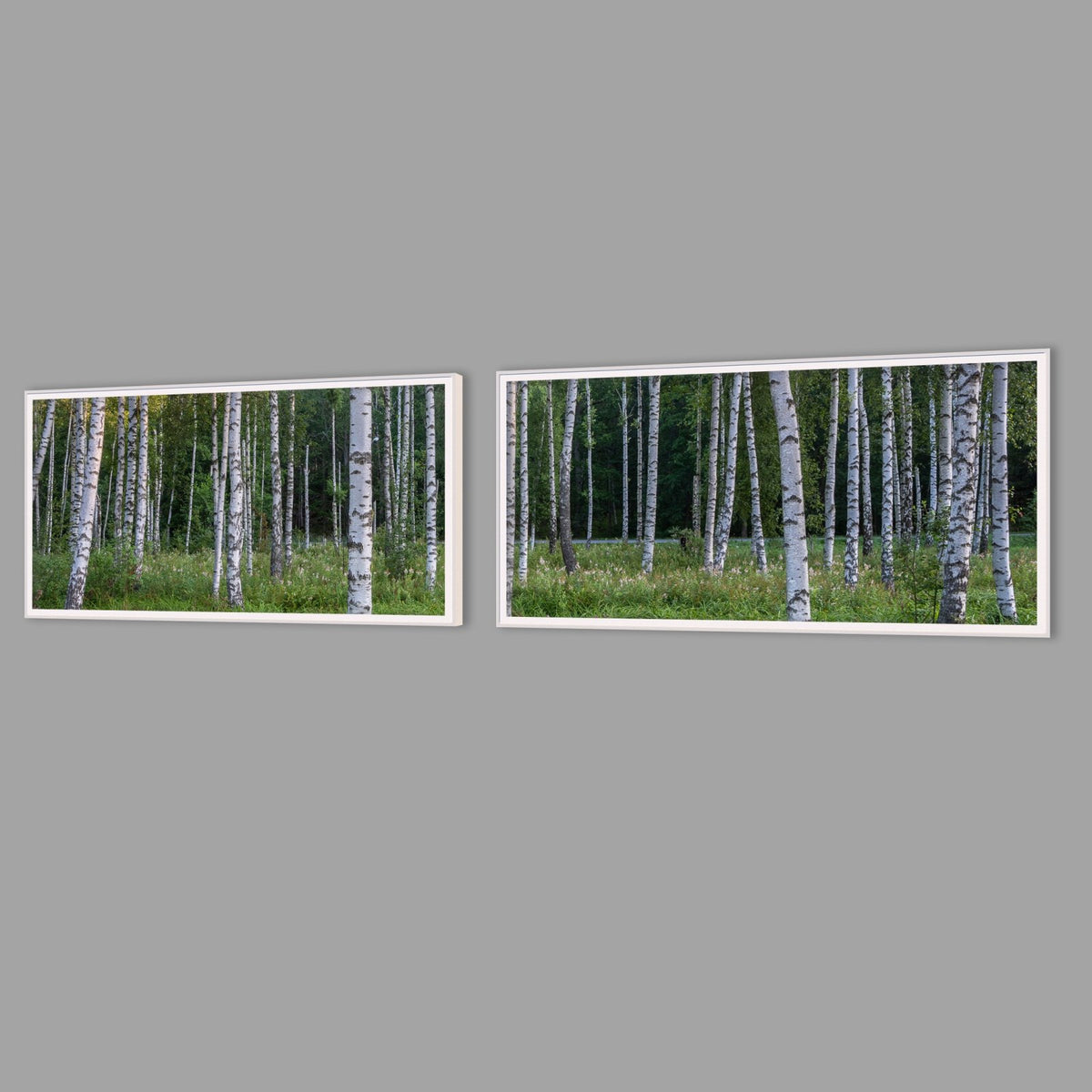 LED-Wandbild Zweiteiler quer mit Abstand – Wald