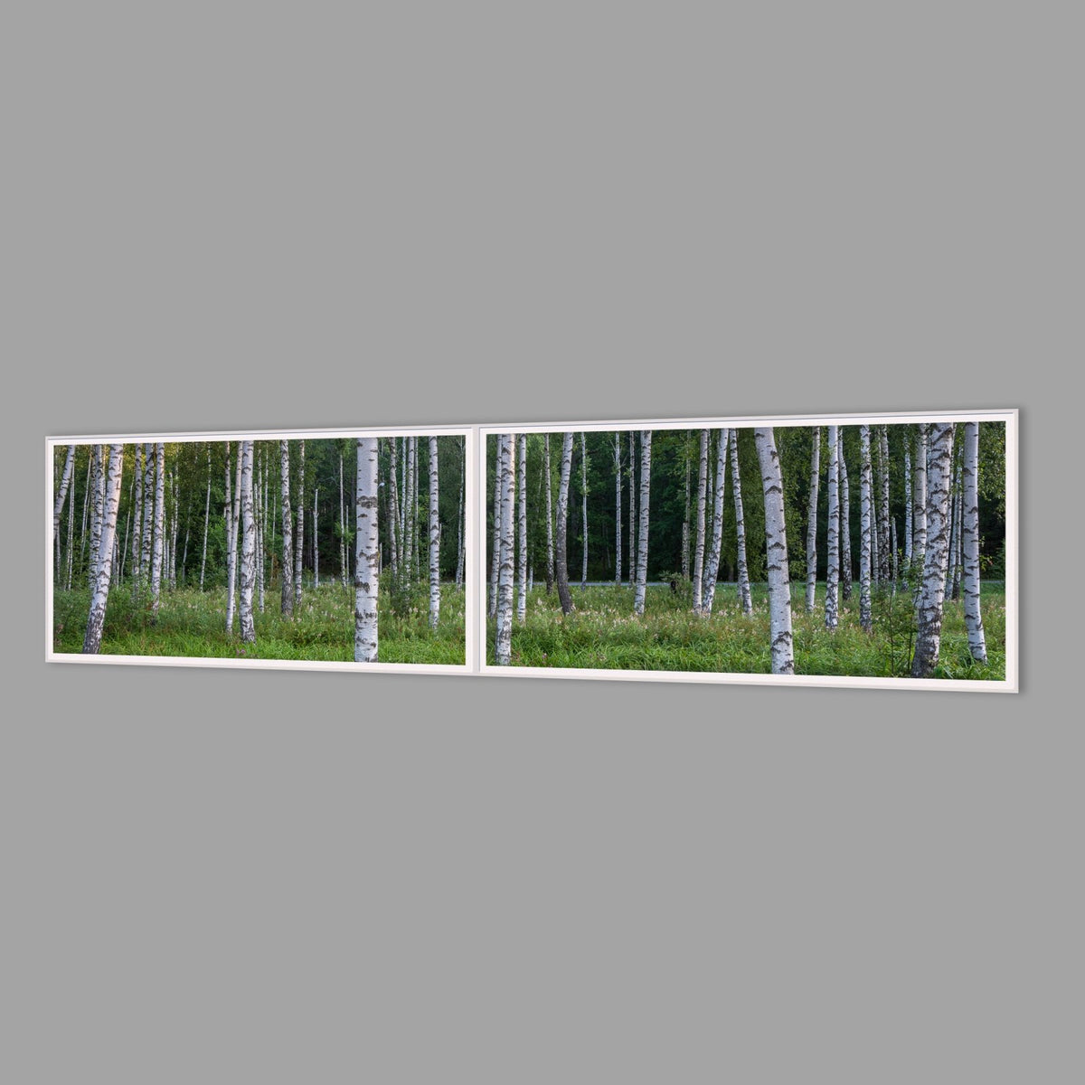 LED-Wandbild Zweiteiler quer 240x60 cm – Wald