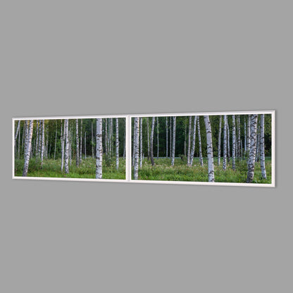 LED-Wandbild Zweiteiler quer 240x60 cm – Wald