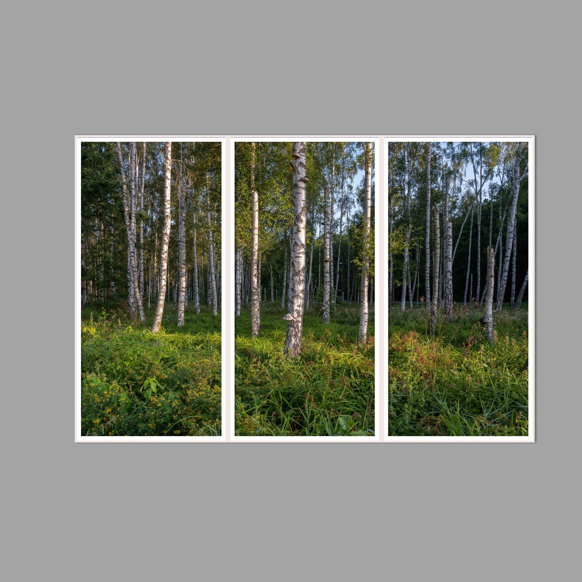 LED-Wandbild Dreiteiler hochkant 180x120 cm – Wald