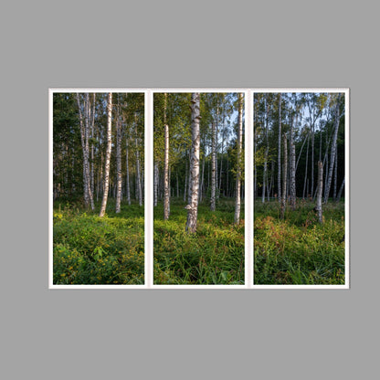 LED-Wandbild Dreiteiler hochkant 180x120 cm – Wald