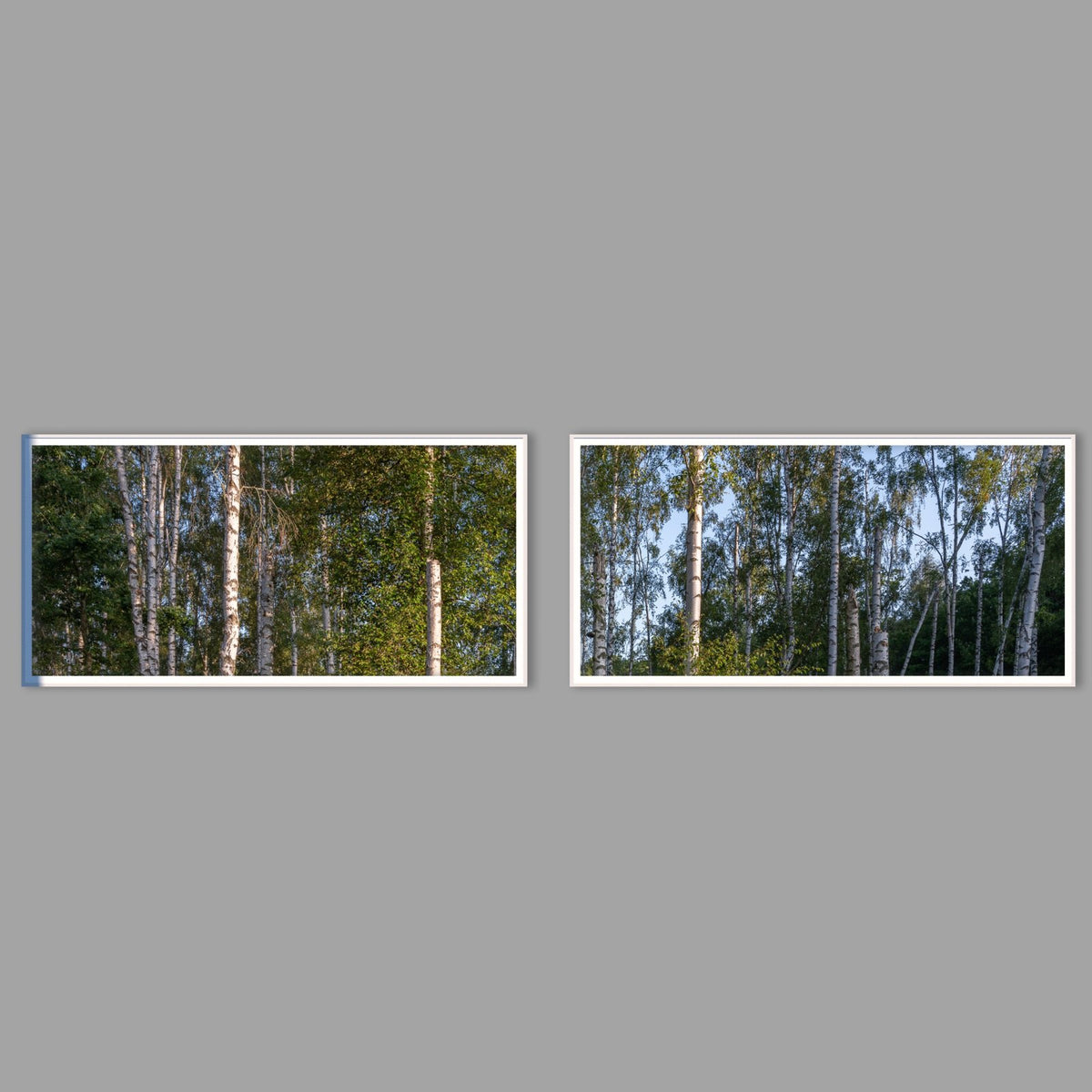 LED-Wandbild Zweiteiler quer mit Abstand – Wald