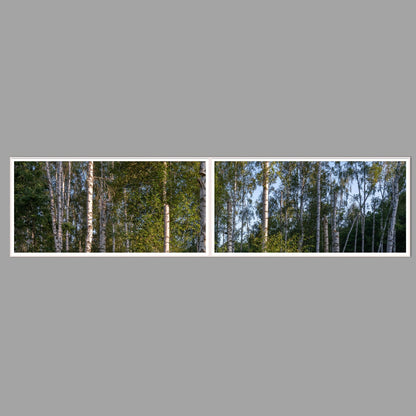 LED-Wandbild Zweiteiler quer 240x60 cm – Wald