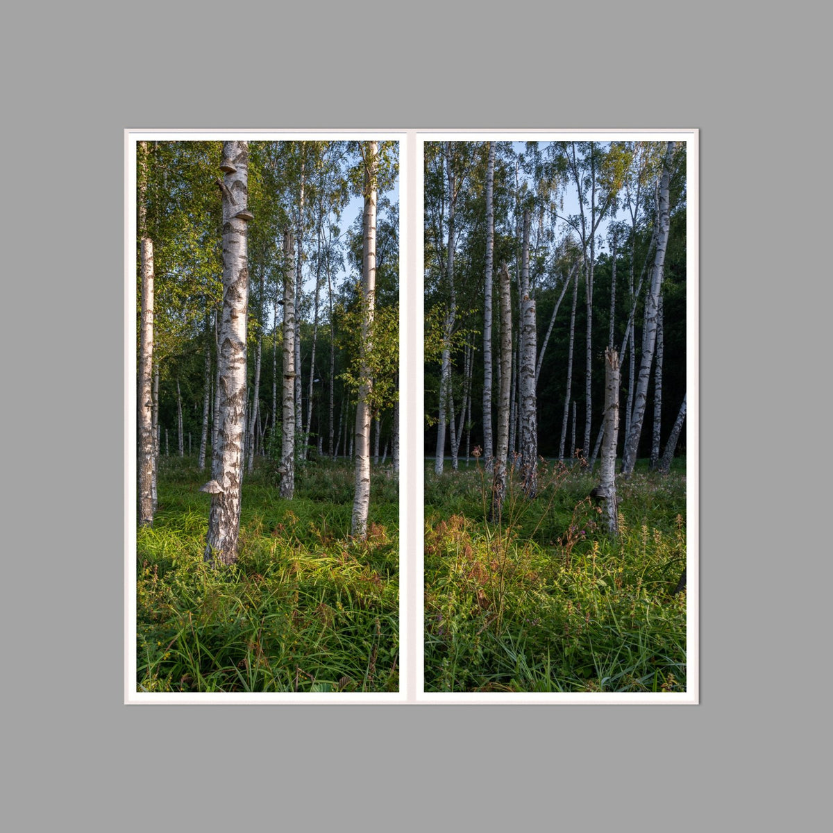 LED-Wandbild Zweiteiler hochkant 120x120 cm – Wald