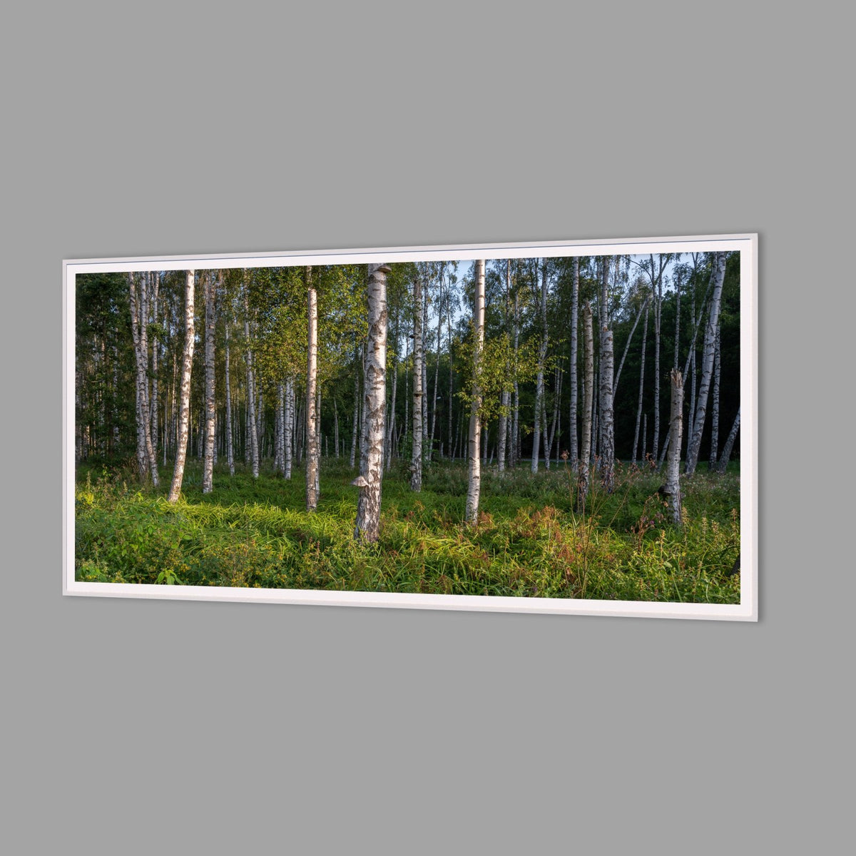 LED-Wandbild 60x120 cm quer – Wald